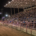 Great Midwest Pro Rodeo 2021 Crowd Photo