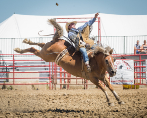 Bronc Riding